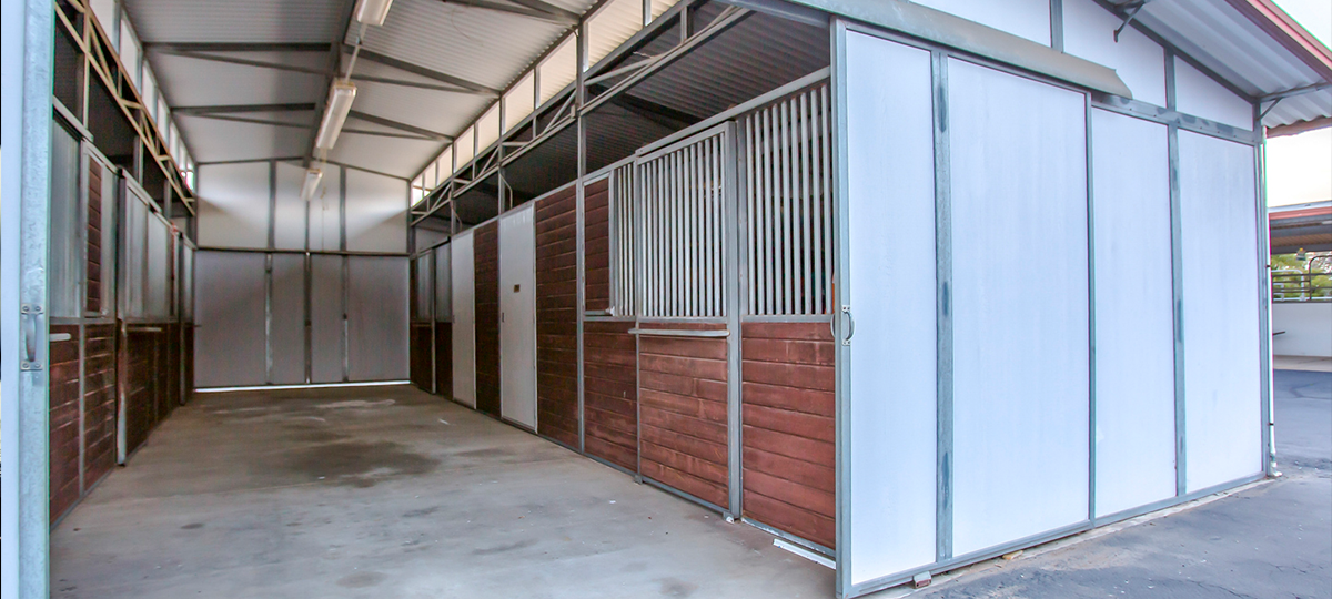 What Is a Horse Stall Front System? Components, Options, and What Builders Need to Know