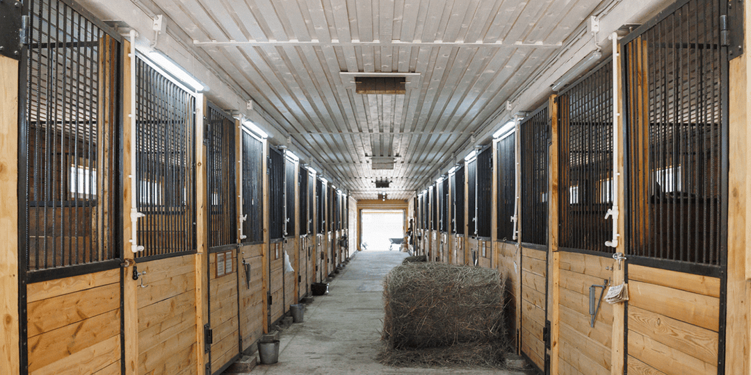 Horse Stall Design Considerations: How to Plan a Metal Stall System That Works