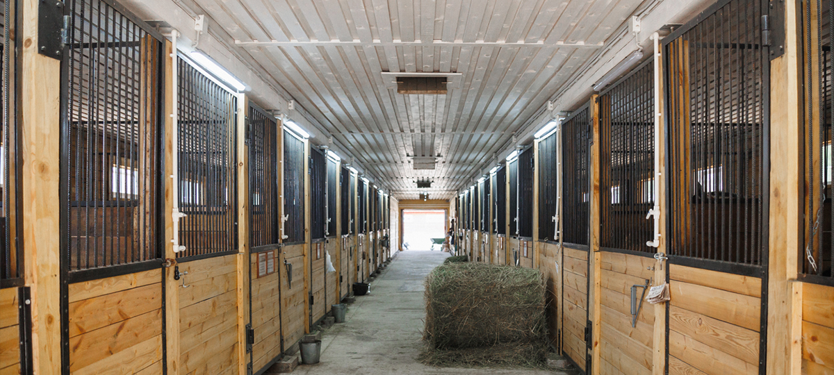 Horse Stall Design Considerations: How to Plan a Metal Stall System That Works