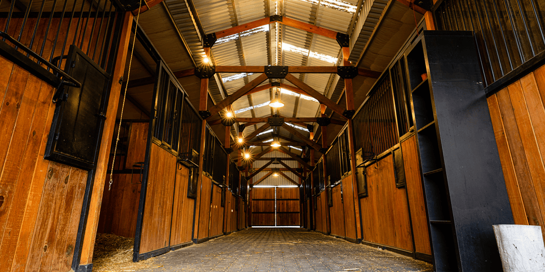 Sliding vs. Hinged Horse Stall Doors: Which Is Right for Your Facility?